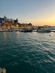 شقه غرفتين في بورتو مرينا vip