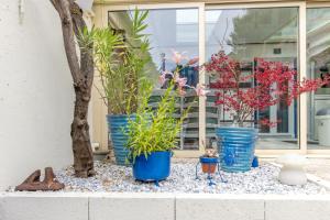Maisons de vacances Le Troglogite Mignon - Maison et Jardin : photos des chambres