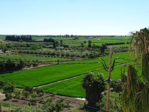 Apartamento con vistas