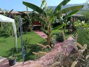 Arlin Bungalows - Atbükü