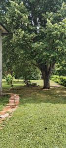 B&B / Chambres d'hotes La Casanat : photos des chambres