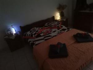 Elens House