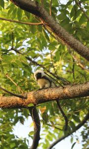 The Valley Tayrona hostel- A social jungle hostel