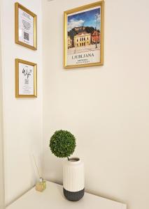 TOP - Ljubljanas Central Gem - free public parking