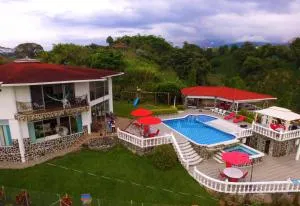 Castillo Del Toro - Hojas Anchas