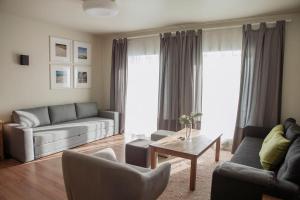 Spacious cozy home and sunny terrace in Nida