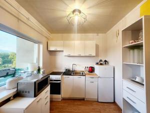 Viscosa külaliskorter