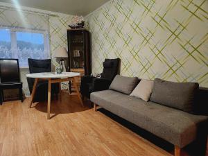 Viscosa külaliskorter