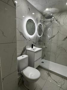 Magnifique appartement Metz centre