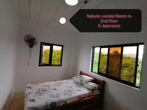 Uncle Bob&Tere Beachfront House