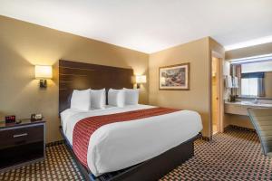 King Suite with Sofa Bed - Non-Smoking room in Best Western Bradford Inn