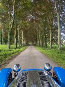 La Demeure du Domaine de Tertu - Piscine chauffée - Calme - Forêt