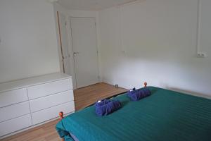 Appartements Appartement entier 2 chambres Chez Zarius : photos des chambres
