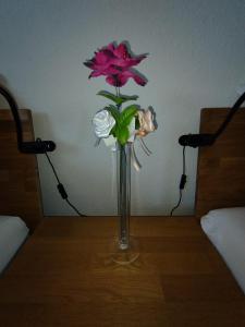 apartment-bb