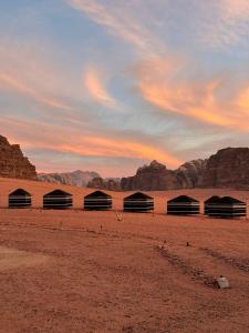 Desert Bird Camp