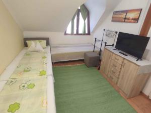 Apartments in Fonyod - Balaton 50840