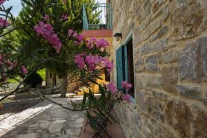 Akros Oreon, Omalos Studio