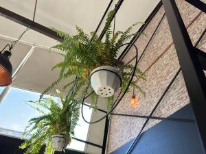 Plaza Serrano - New York style loft by Aires B&B