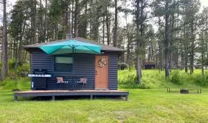 Cabin 3 at Horse Creek Resort - Keystone