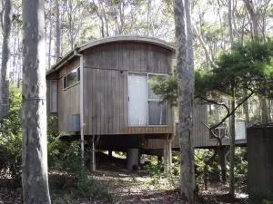 11 Burrawong - Brogo