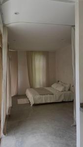 Raíces, The Jungle Penthouse