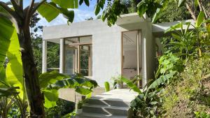 Raíces, The Jungle Penthouse