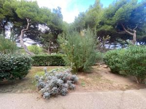 Appartements T2 a Narbonne-Plage - Parking & Proche Plage - 5 Pers - FR-1-795-5 : photos des chambres