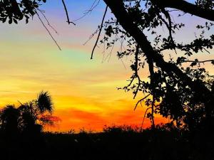 Punta Gorda Peace River Sunsets
