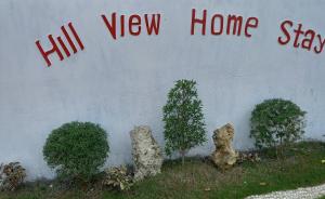 Hill View Home Stay Bohol