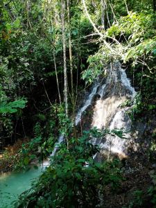 TheJungleGuide - Lodges & Treks