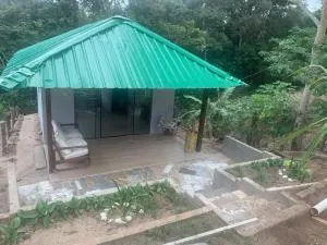 Magic Tree - Cuarteles