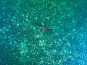 Phangan Rainbow Bungalows