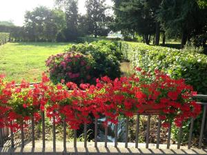 hotel ristorante gama