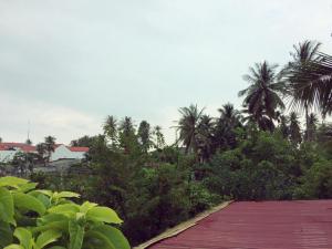 Draco - Thang Long Hotel