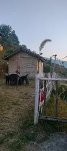 Mowadhar cottage home stay - Chakrata