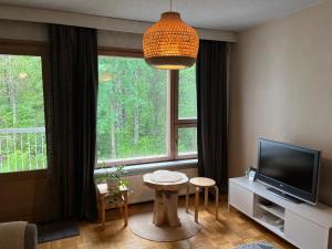 Apartment Ahkio North