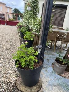 B&B / Chambres d'hotes L'Estuaire : photos des chambres