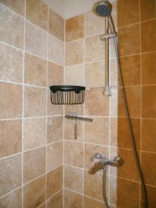 Villas Maison familiale Piscine privee Chateaux de la Loire Beauval : photos des chambres