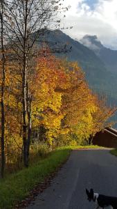 Hôtel Le Mont Jorat