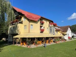 Vila Niculina - 莫伊西德约斯