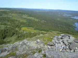 Hytte på fjellet, med mange turmuligheter ! - Gol