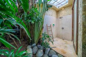 Villa Coccoos II Spacious 2BR Pererenan Canggu