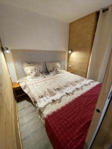 Appartements Appartement pied des pistes : photos des chambres