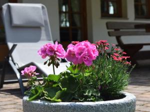 Haus Ruf - Ferienwohnung Paradiesblick