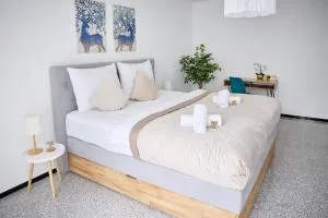 IDEE Living: Penthouse Apartment mit Parkplatz - Hemsbach