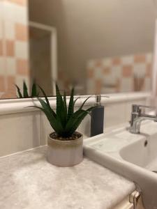 Sibilla Tiburtina House Attico Roma con parcheggio