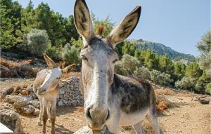 Cozy Home In Estellencs With Wifi