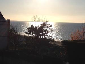 Appartements La petite chaumiere sur le rivage : photos des chambres