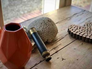 Appartements La petite chaumiere sur le rivage : photos des chambres