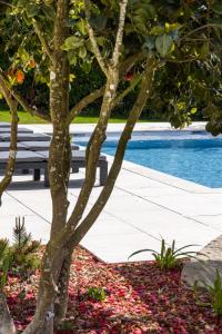 Maisons de vacances Lenesthan - Superbe gite tout confort et spa : photos des chambres